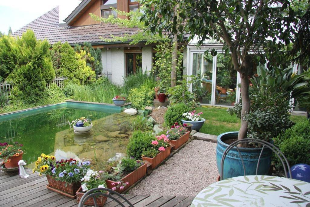 Bed & Breakfast Wepfer Grut Luaran gambar